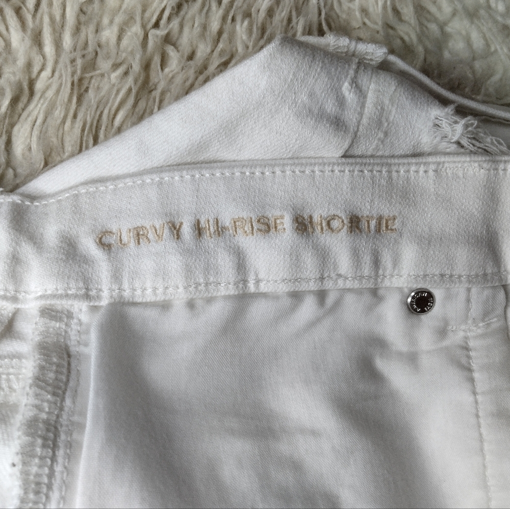 American Eagle Curvy High Rise Shortie Shorts Size 14 - Picture 9 of 12